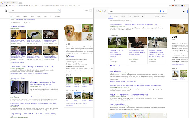 Double Shot Search: Query side-by-side chrome extension