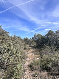 terrain à Saint-Julien (83)