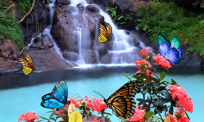 3d Butterfly Live Wallpaper Revenue Download Estimates Google