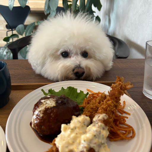 しんや🐶ガブオート🐶のプロフィール画像