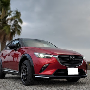 CX-3 DKLFY