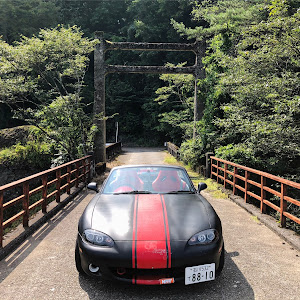 ロードスター NB8C