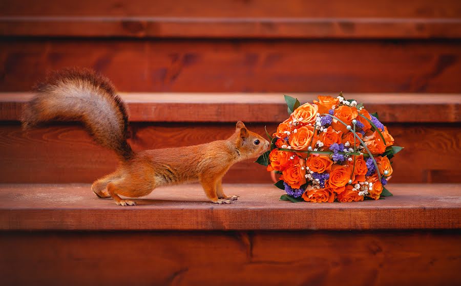 Fotografo di matrimoni Natasha Kachalina (natashakachalina). Foto del 31 marzo 2016