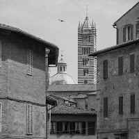 Siena BW di 