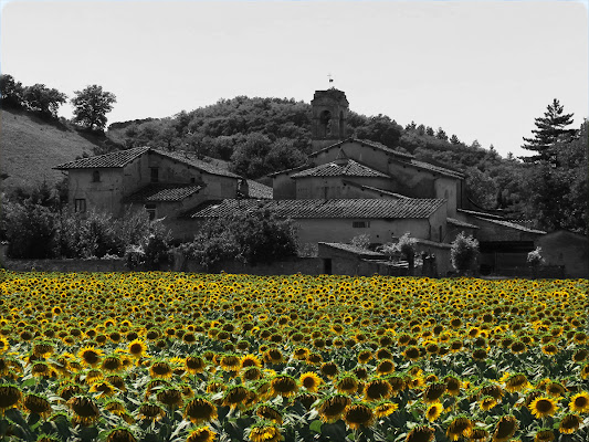 Un giro in Mugello di EmmaPhotos