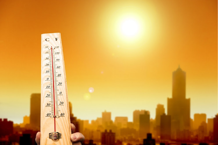 SA experts call for action after UN’s dire global warming warning.