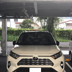 RAV4 MXAA54