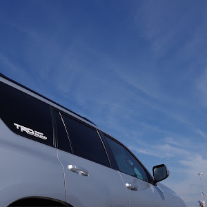 ランドクルーザープラド TRJ150W