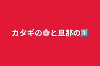 カタギの🌸と旦那の1⃣