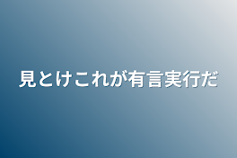 見とけこれが有言実行だ