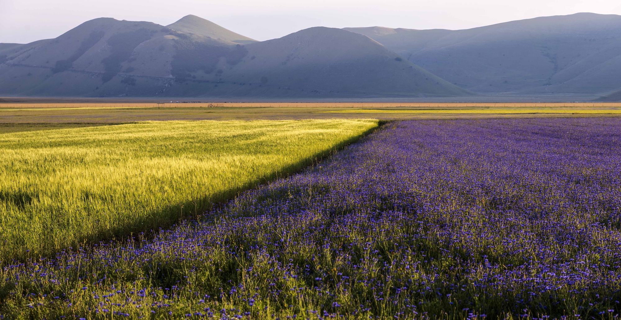 Alcune persone hanno bisogno di accettare che il mondo è pieno di colori. di Viola1