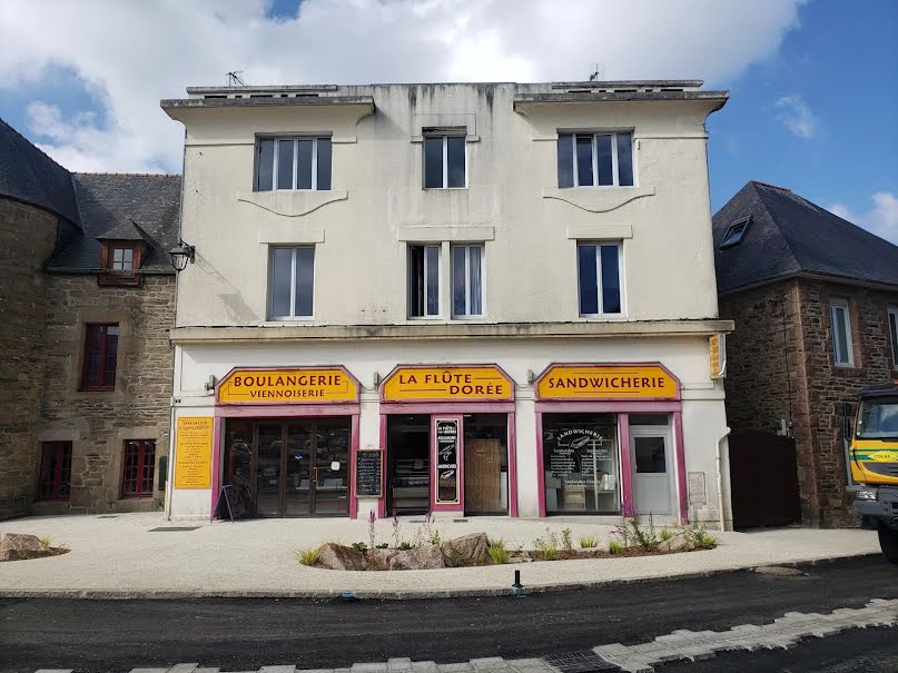 Vente locaux professionnels 1 pièce 72 m² à Lannion (22300), 25 000 €