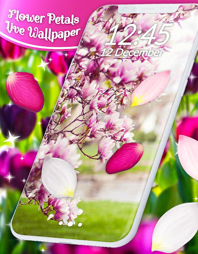 Spring Petals Live Wallpaper ❤️ Flower Wallpapers