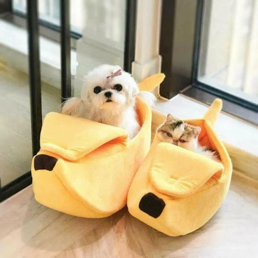 Banana Cat Bed House Funny Cute Cozy Cat Mat Beds Warm Durable Portable Pet Basket Kennel Dog Cushion Cat Supplies Multi