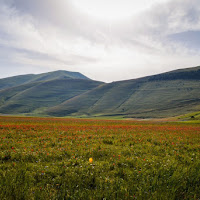 Castelluccio... il nostro cuore quasi in Fiorita... di 