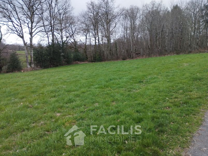 Vente terrain  17220 m² à Val d'Issoire (87330), 6 629 €