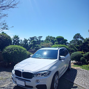 X5 F15