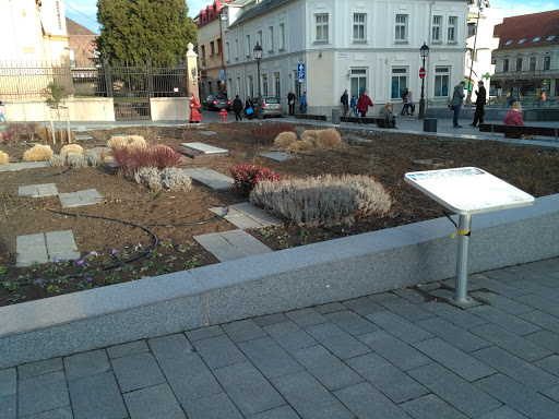 City Square,Pecs,Baranya,Hunga