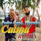 Download Calma Remix - Pedro Capó, Farruko Musica 2019 Mp3 For PC Windows and Mac