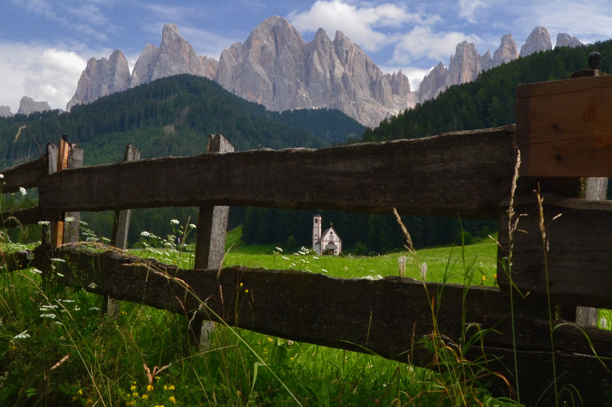 Dentro e Fuori la staccionata di giuseppedangelo