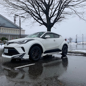 C-HR NGX50