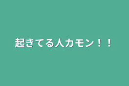 起きてる人カモン！！