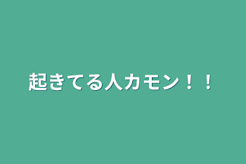 起きてる人カモン！！