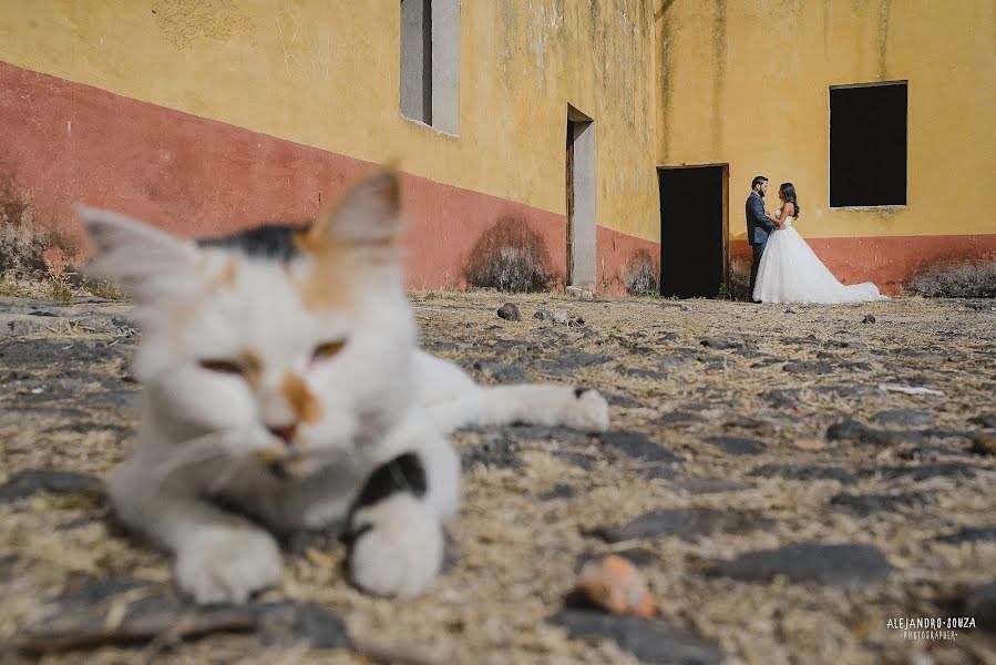 Pulmafotograaf Alejandro Souza (alejandrosouza). Foto tehtud 22 juuli 2016