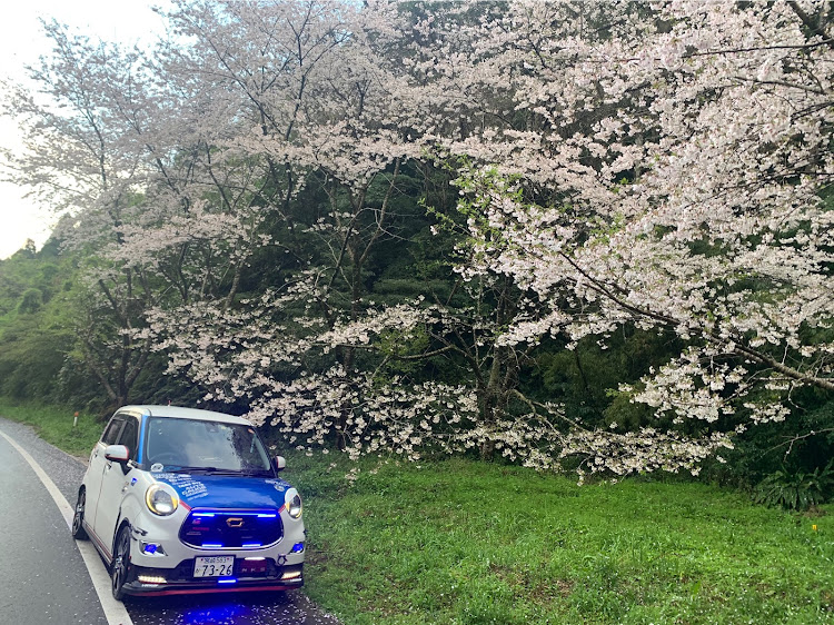 キャストの桜とコラボ🌸に関するカスタム事例の投稿画像1枚目