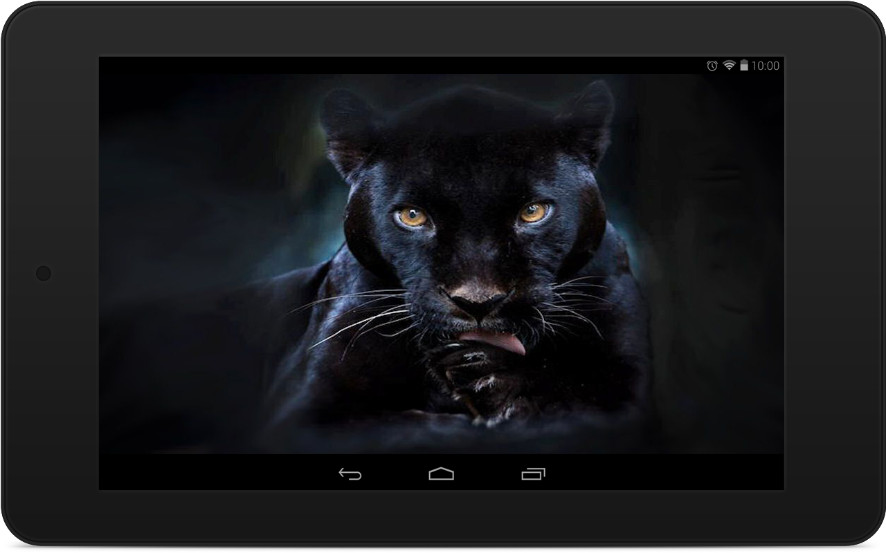 Black Panther Wallpapers Android Apps On Google Play