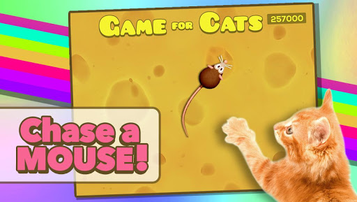 Game for Cats