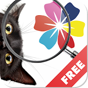 Find a cat - play with your friends! 0.0.2 Icon