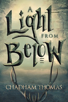 A Light from Below cover