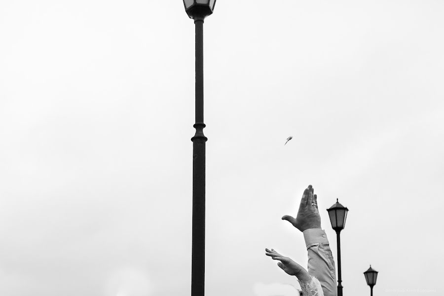 Fotografo di matrimoni Anna Borodina (devab). Foto del 31 luglio 2020