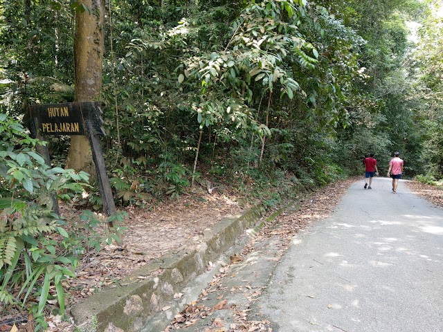 Mount Pulai road