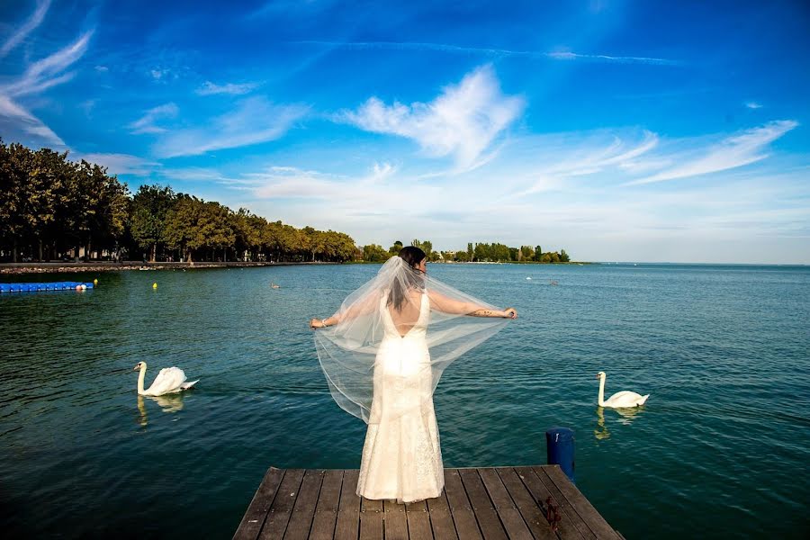 Wedding photographer Tamás Papp (tamaspapp). Photo of 3 March 2019