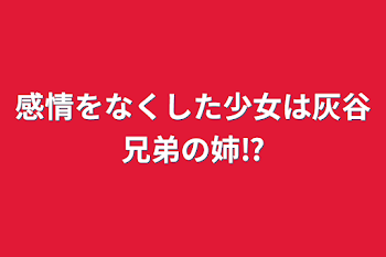 感情をなくした少女は灰谷兄弟の姉⁉️