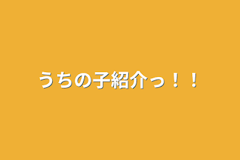 うちの子紹介っ！！