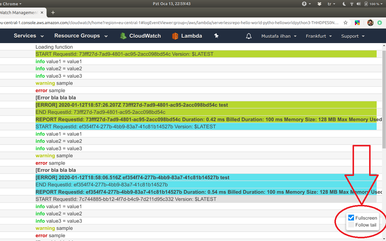 Colorize AWS CloudWatch Logs Preview image 7