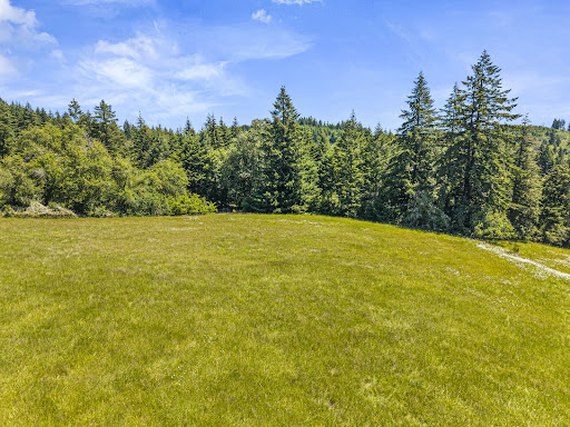 Land 2