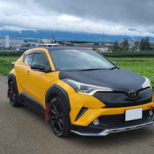 C-HR NGX50