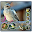 Full Kicau Burung Blackthroat Download on Windows