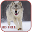Wolf Live Wallpaper Download on Windows