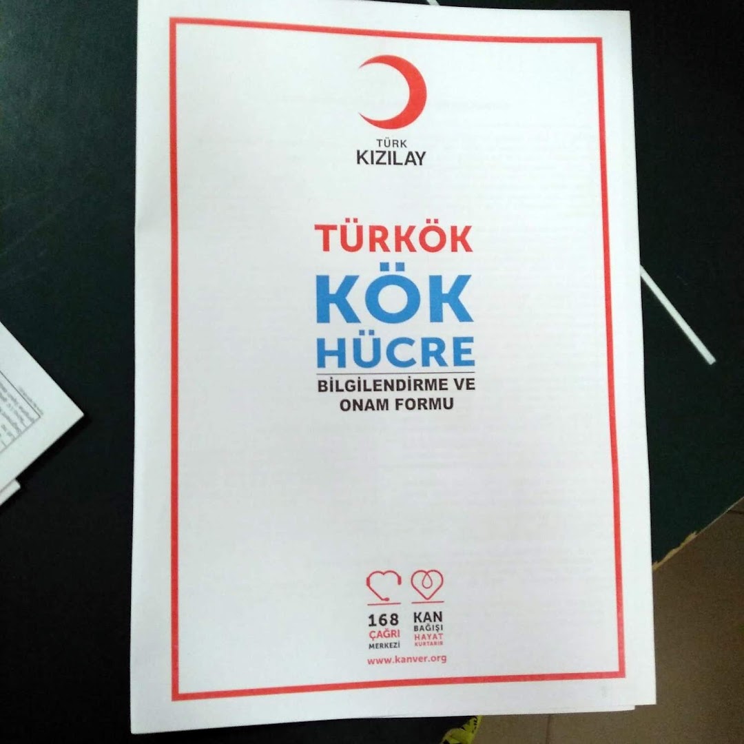 Kök Hücre Bağışı