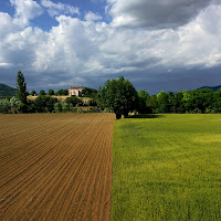 La netta divisione di 