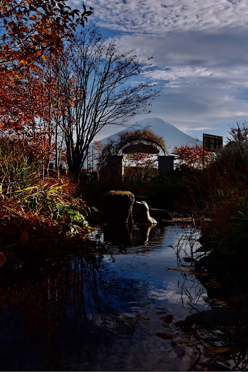 A3 セダンの富士山・河口湖 大石公園・新倉富士浅間神社・紅葉・コキアの紅葉に関するカスタム事例の投稿画像28枚目