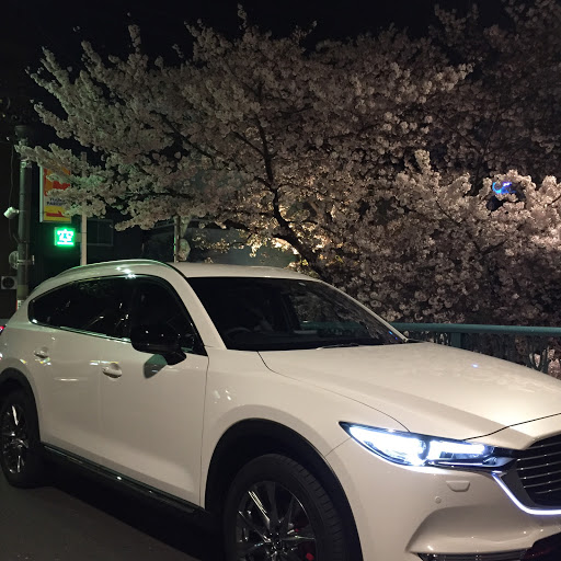 kazu-x8のプロフィール画像
