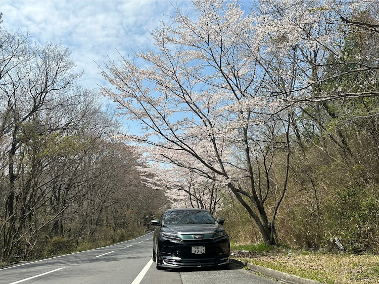 ハリアーの直人さんが投稿したカスタム事例の投稿画像1枚目