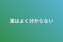 潔はよく分からない