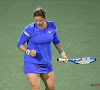 Zal Kim Clijsters deelnemen aan de Fed Cup-finale? "Dan ga ik met haar praten"